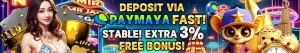 Use Payamaya To Get 3% Bonus