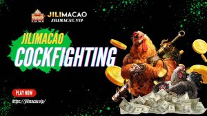 jilimacao cockfighting